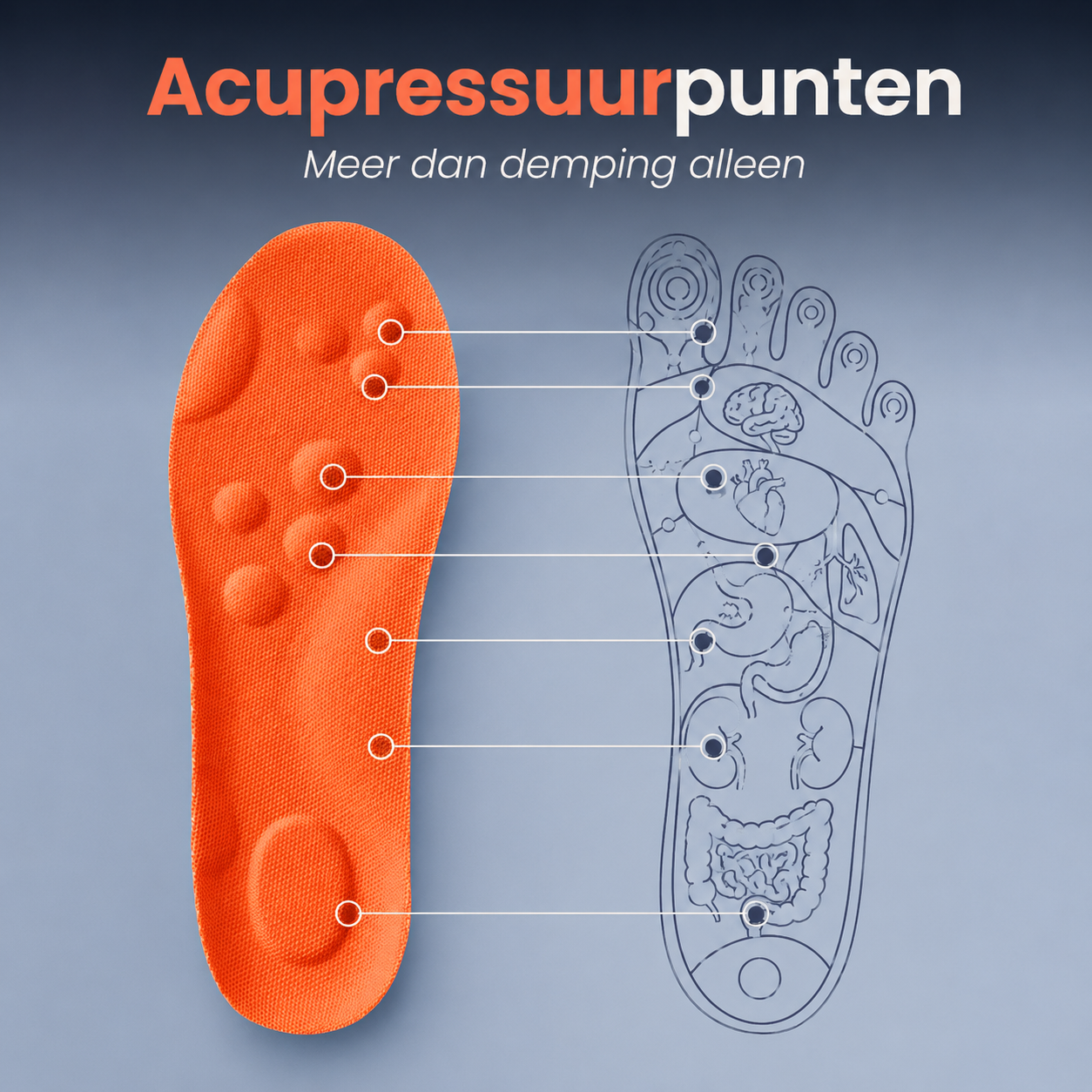 Comfortzolen - Voor voeten die eindelijk mogen rusten